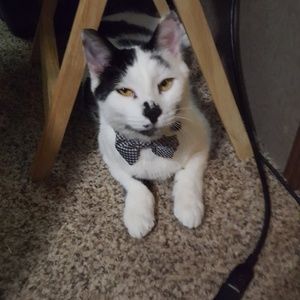 Meet your Posher, Beth